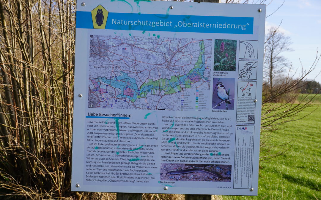 Natur vor der Haustür neu entdecken
