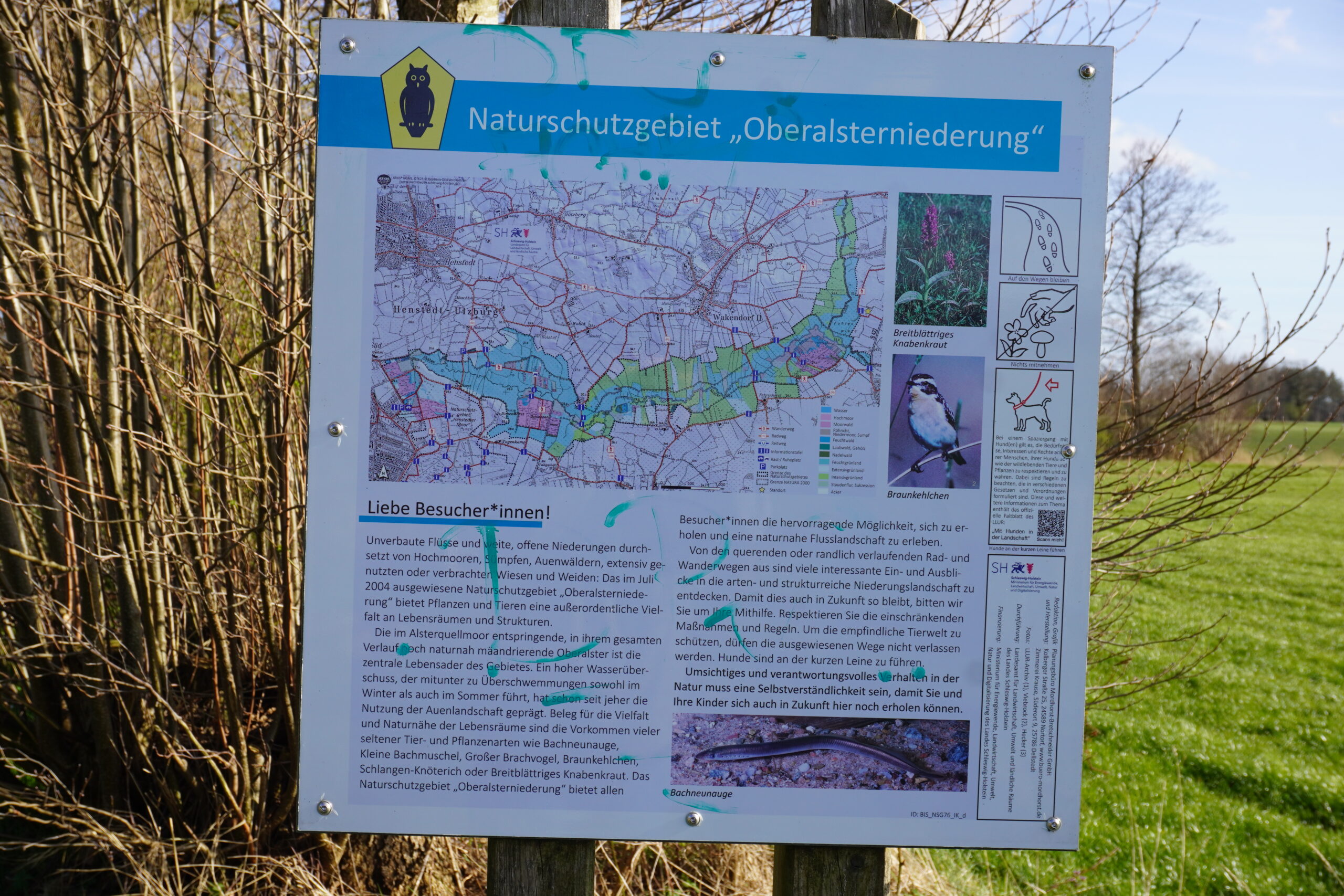Natur vor der Haustür neu entdecken