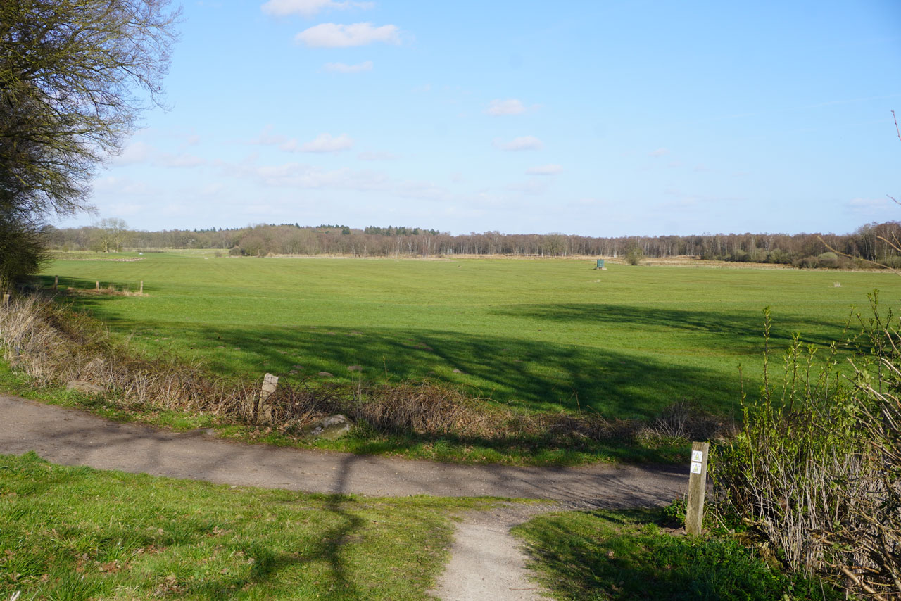 Natur-Banner-1280x854