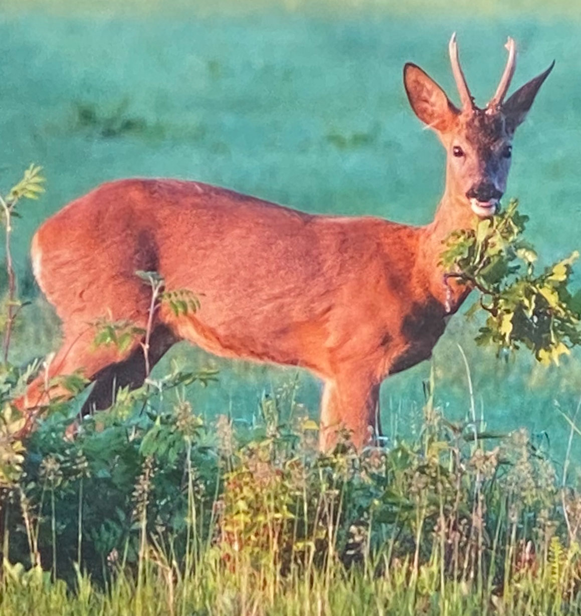 Fotografie Ausstellung im Dörphus