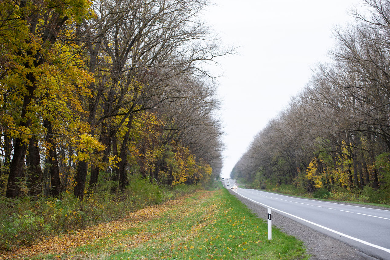 Strassen-&-Verkehr-Banner-1280x854