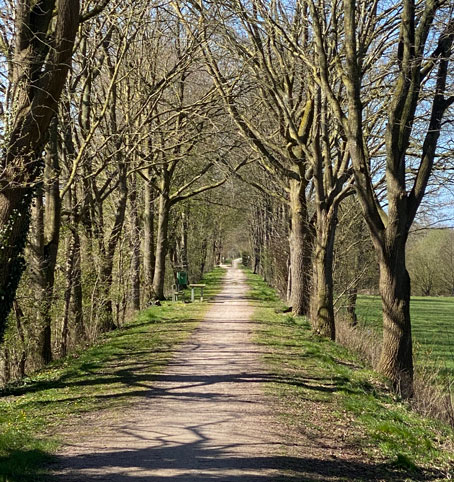 Strassen-&-Verkehr-Image-454x482