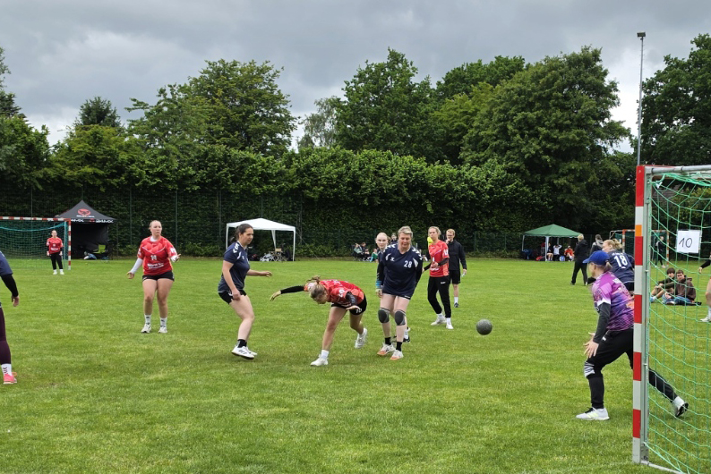 Schleswig-Holstein Cup